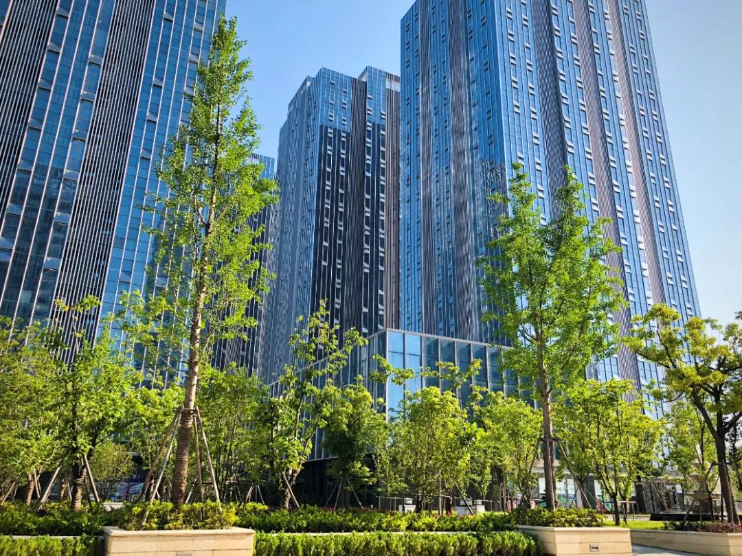 太惊喜！这家高品质项目不声不响卖到第一，独家内幕被曝光