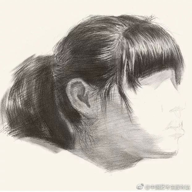 优质素描,优质素描静物