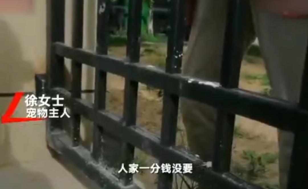 寻狗赠送北京一套房物业回应,寻狗赠房