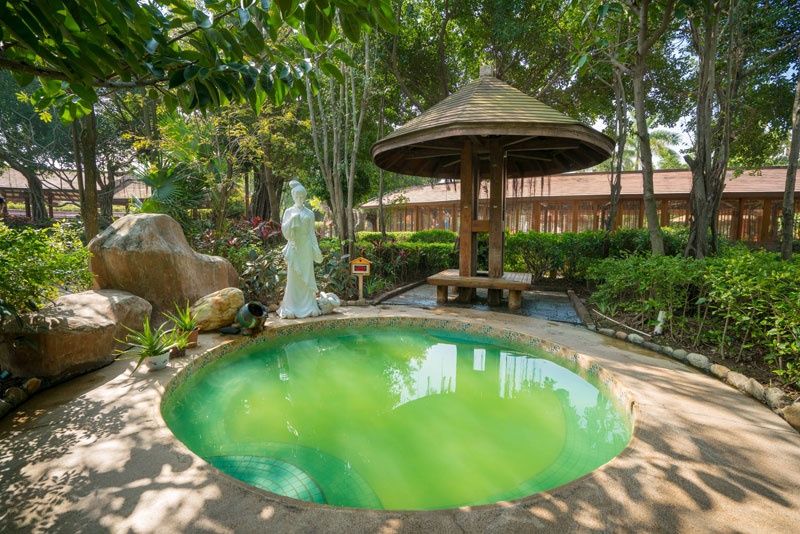 厦门天沐温泉恐龙侏罗纪,厦门天沐杏博湾温泉度假村