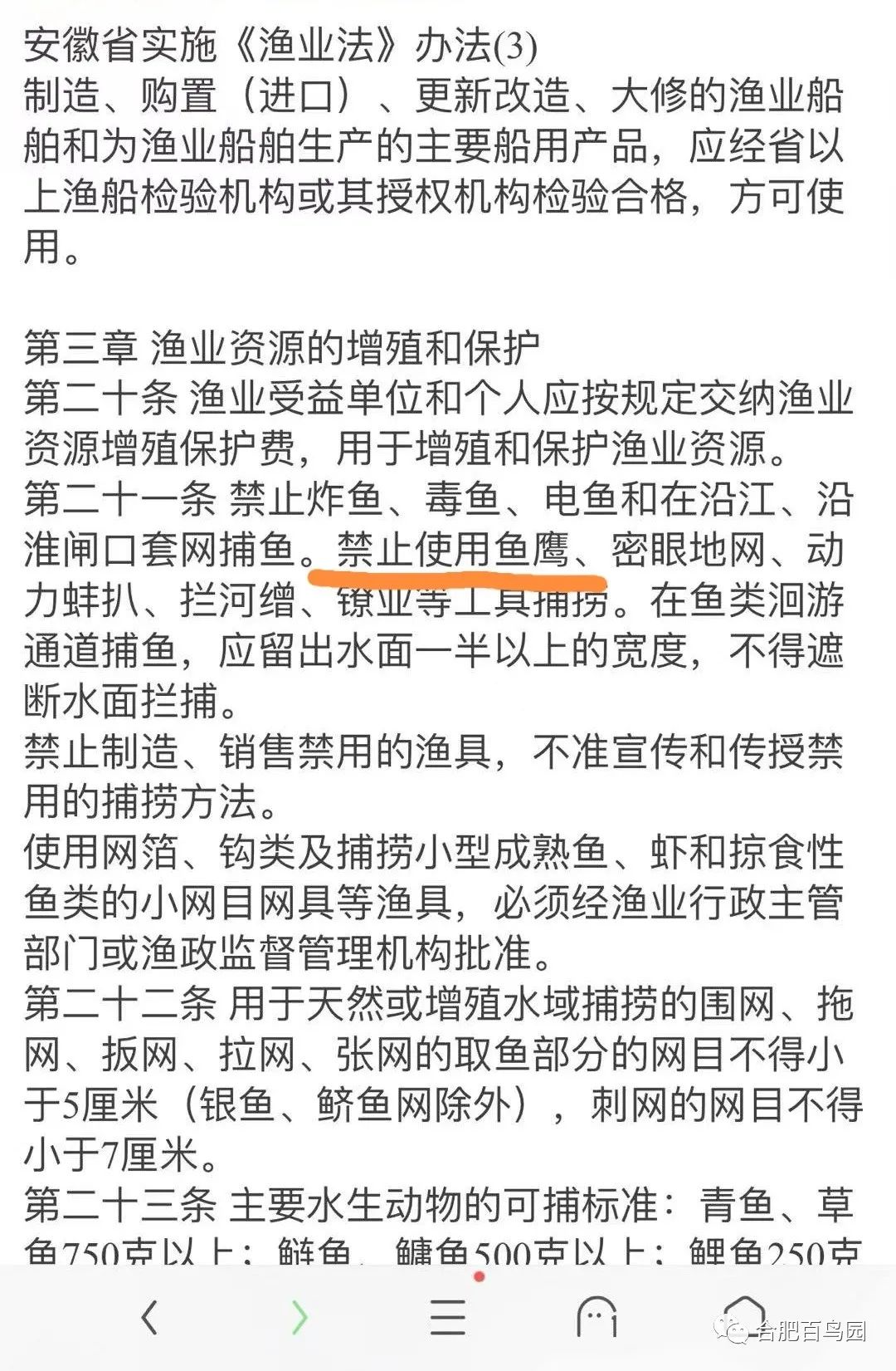 鸬鹚捕鱼技艺需要传承,鸬鹚捕鱼这项传统技艺会消失吗