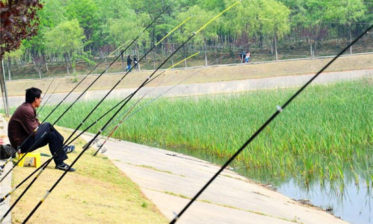 鱼护怎么防止老化,好一点的鱼护有必要吗