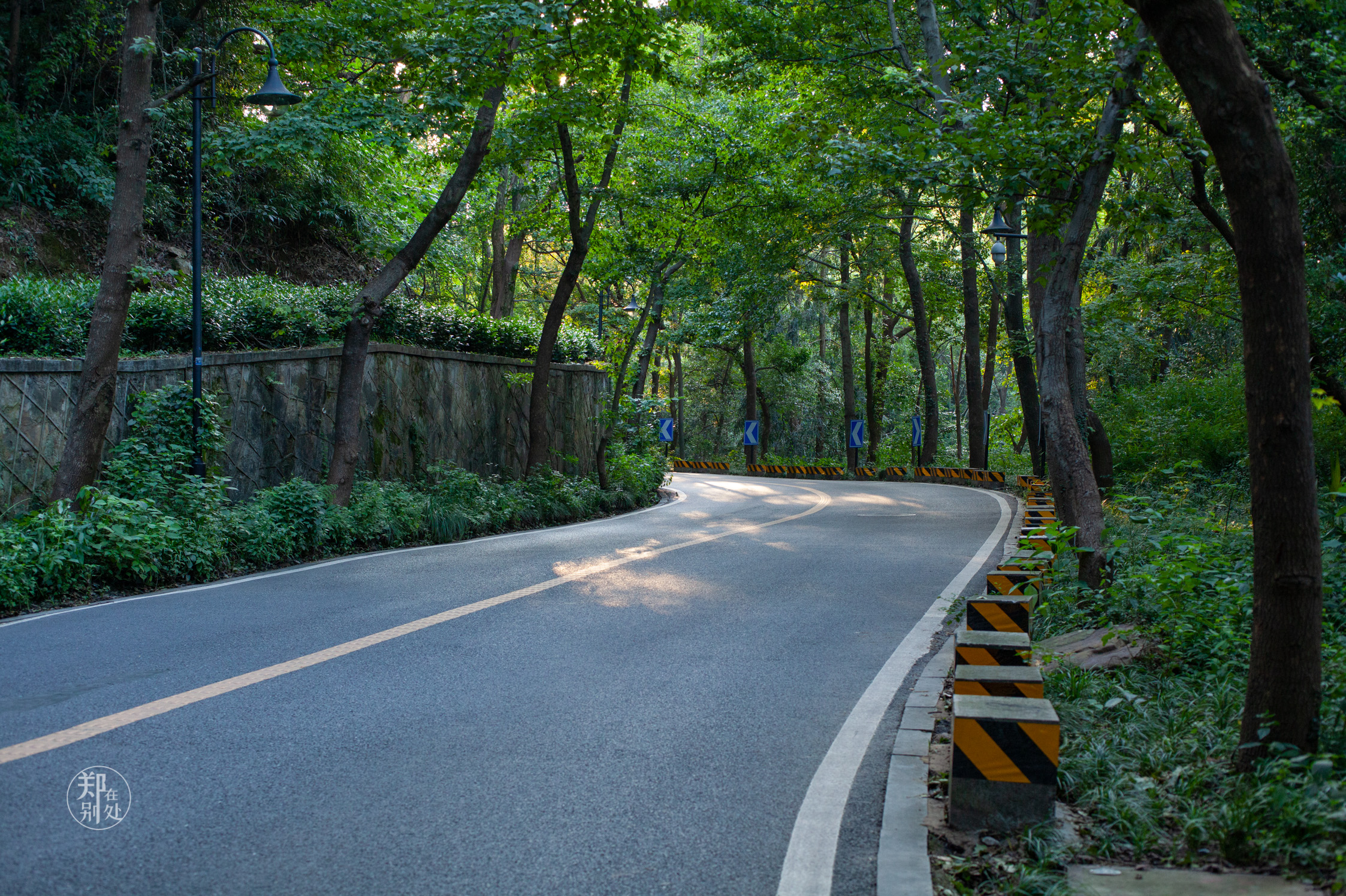 坐公交游杭州几路最好,杭州87路公交沿路风景