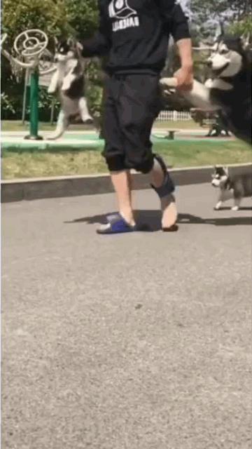 今日萌图,仓鼠身上长了疑似肿瘤的东西