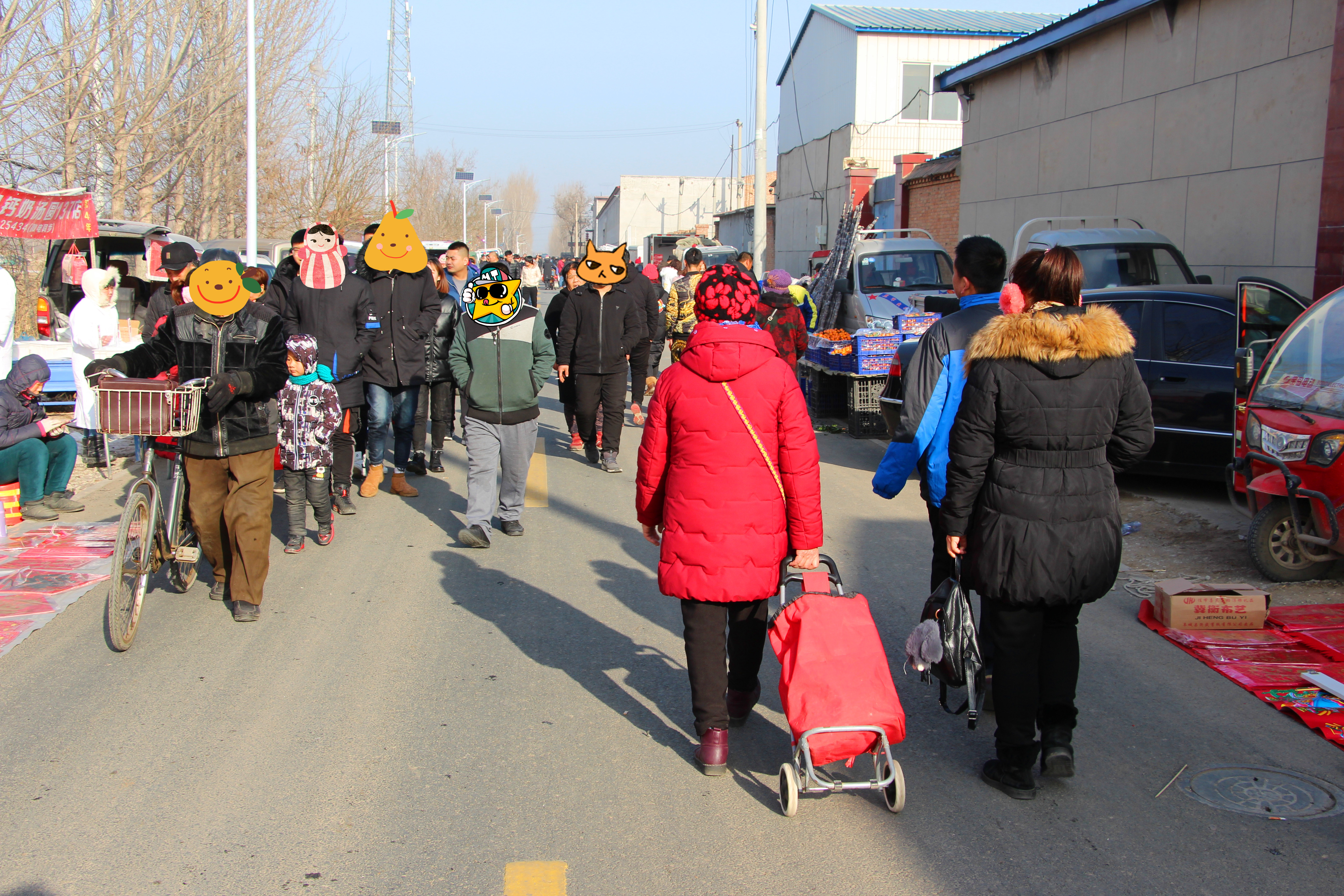 天津市武清区泗村店镇太子务村赶大集
