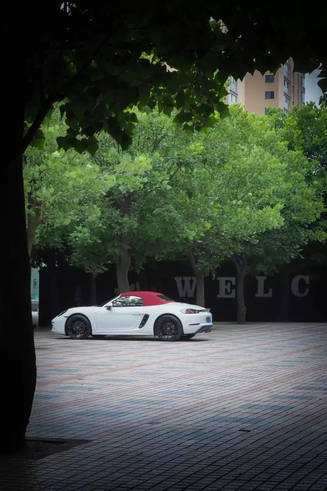 荷花池vs春熙路,成都荷花池攻略技巧