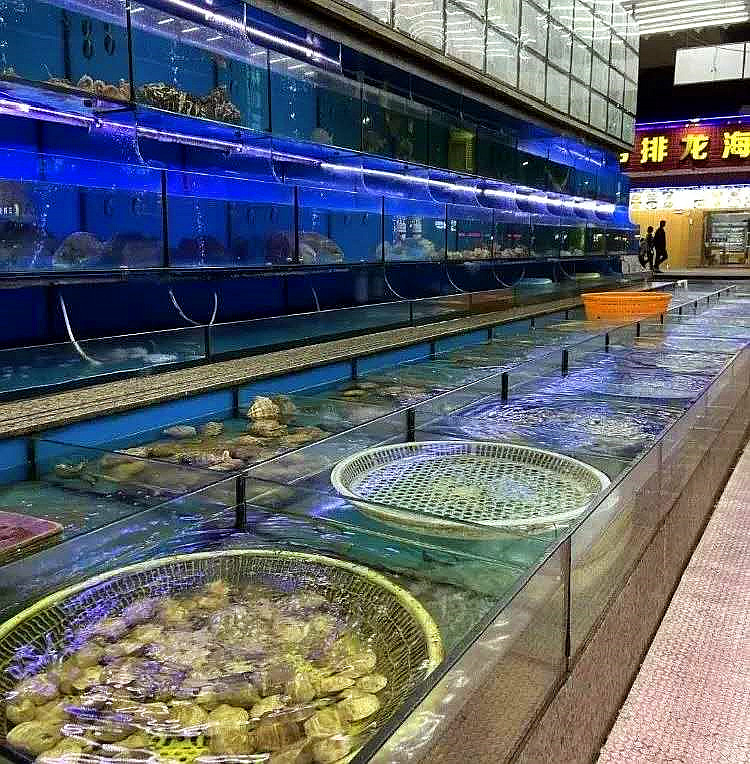 舟山国庆朱家尖,舟山朱家尖徒步旅游攻略