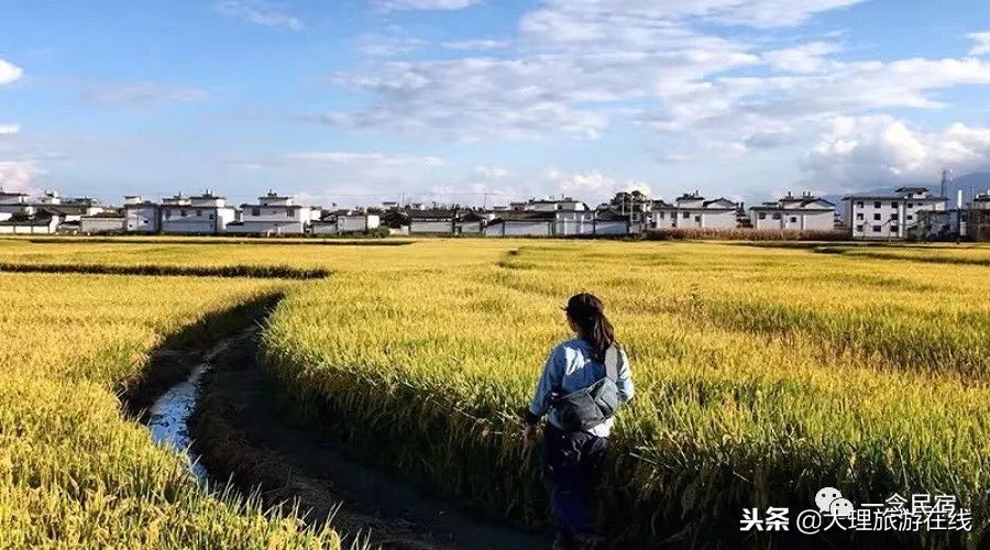 洱海深度游玩攻略,去洱海最该去哪个地方