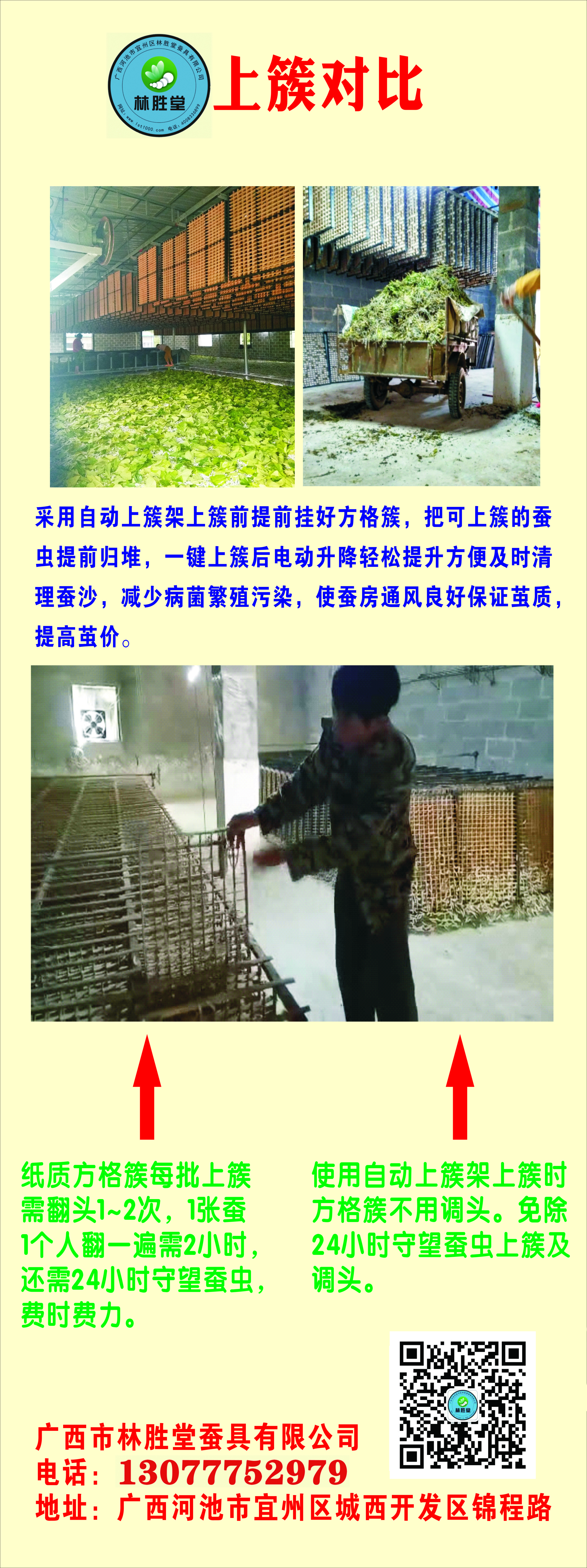 家蚕体外中毒的视频,家蚕农药中毒怎么办