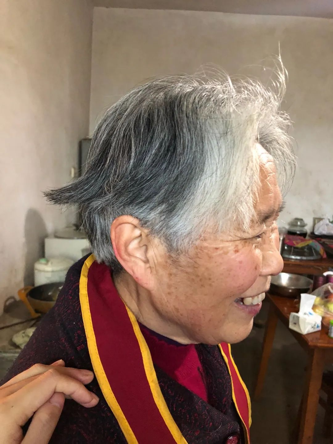 我们见证了历史,我们躺在沙发上