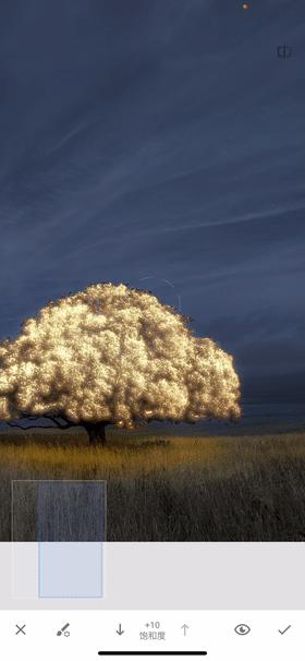 snapseed创意修图,snapseed如何把照片修出翠绿风格