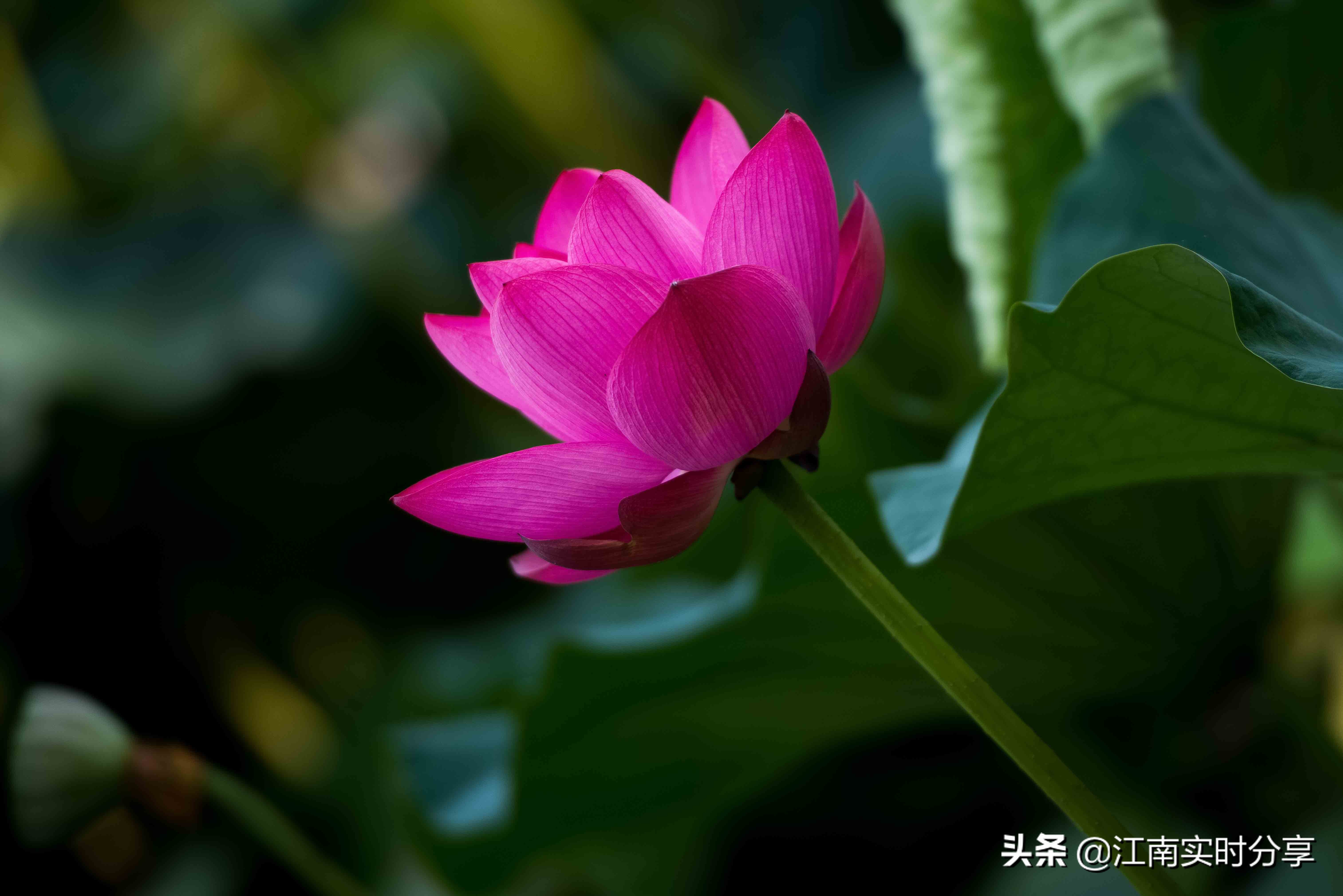 无锡自驾旅游景点推荐一日游攻略,无锡暑期旅游攻略