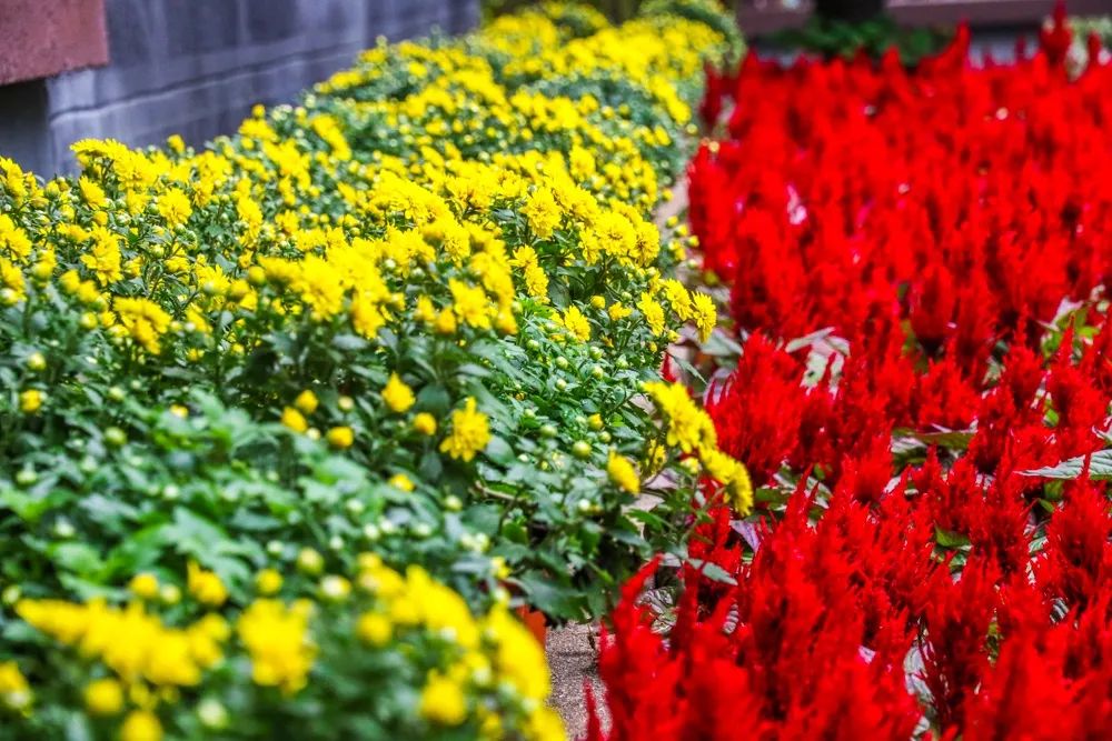 燕子矶公园值得去吗,燕子矶公园的介绍