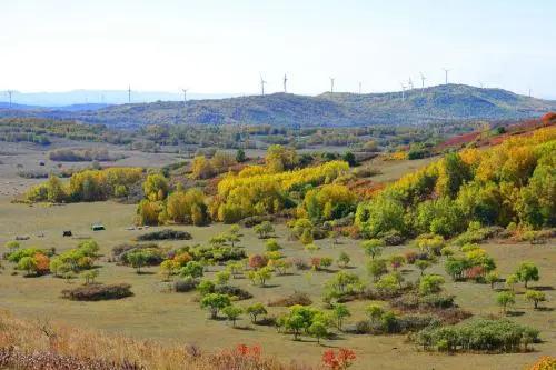 坝上三大景点,坝上草原是丰宁还是围场的