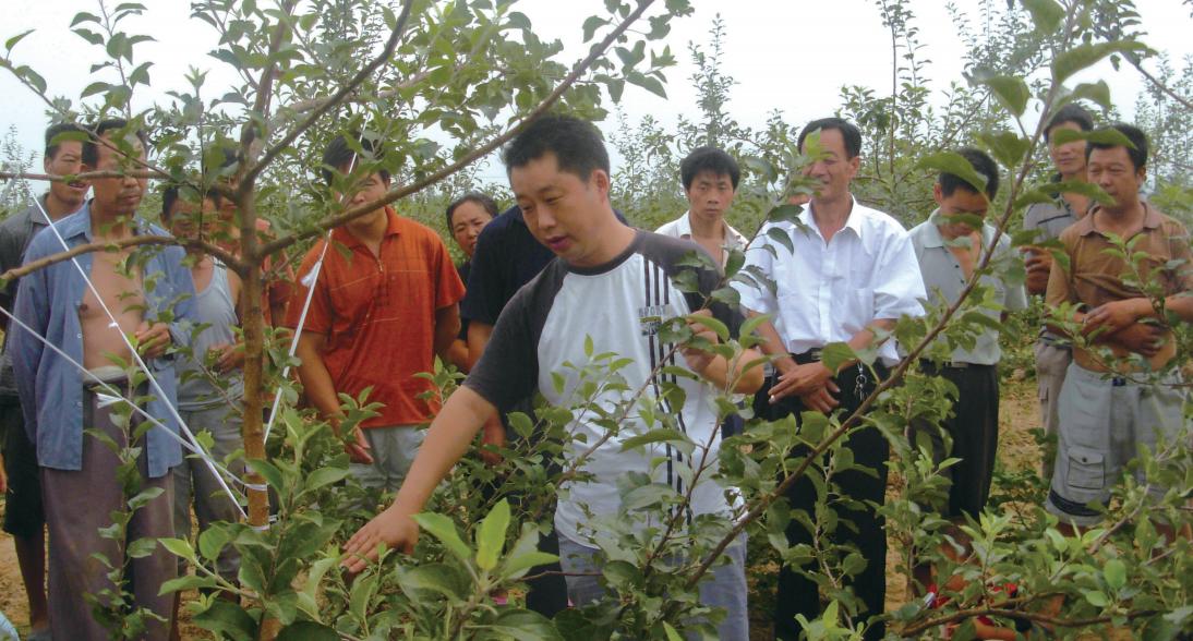 与树一起成长,与树一起成长的童年