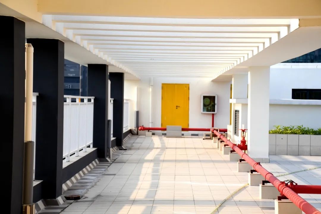 深圳新建九年一贯制学校,深圳新改建的重点小学