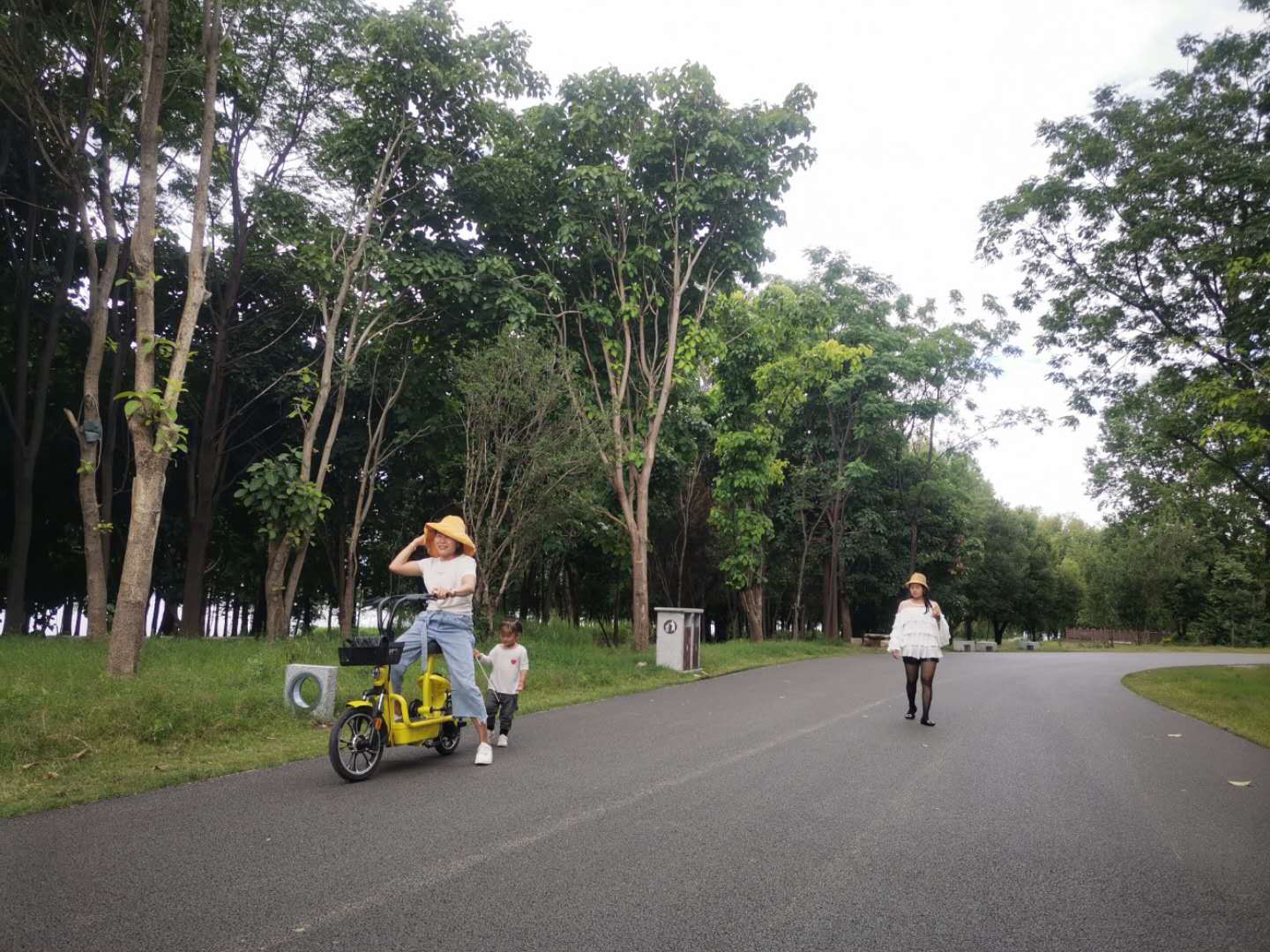 云南省一村一品名单,大理州乡村振兴试点村名单