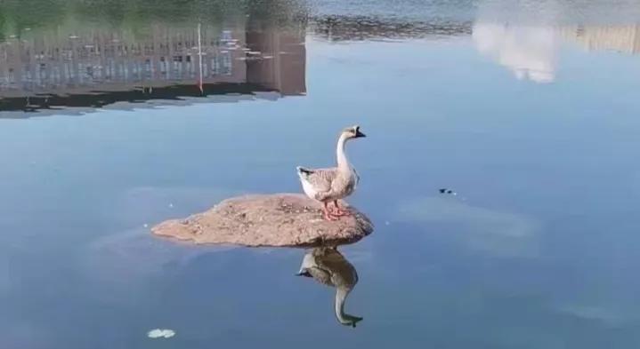 甲癌术后10年与病友分享,甲友心声最新消息