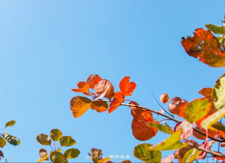 郑州漂亮的秋色风景,郑州的这些湖畔藏着最美的秋色