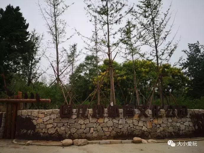 一位妈妈花四年跑断腿,换来了这份“回龙观靠谱教育机构清单”