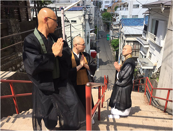 五字头耗子的2019年5月见闻录