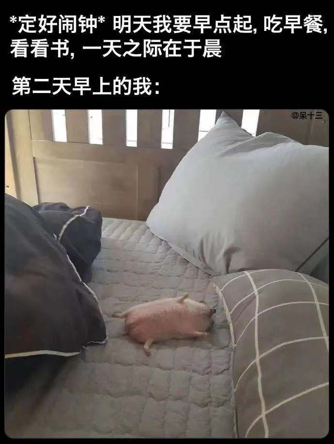 嘻咦嗷笑就完了NO.3