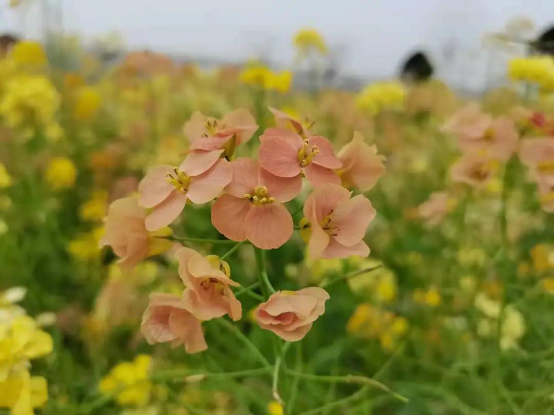 汉川5天周边游攻略,汉川徒步旅游攻略一日游