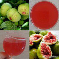 唐三镜酿酒技术五粮酒,唐三镜酿酒真实案例