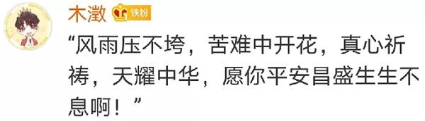 火神山医院10天建设全过程,火神山医院建造时间节点