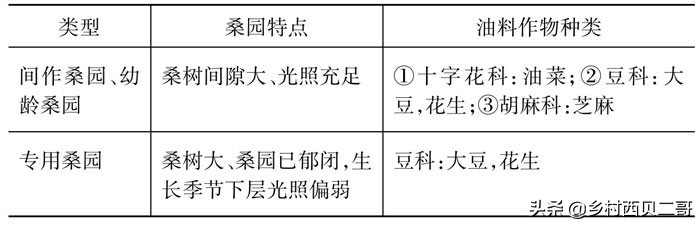 桑树种植技术资料大全,致富经桑树种植技术