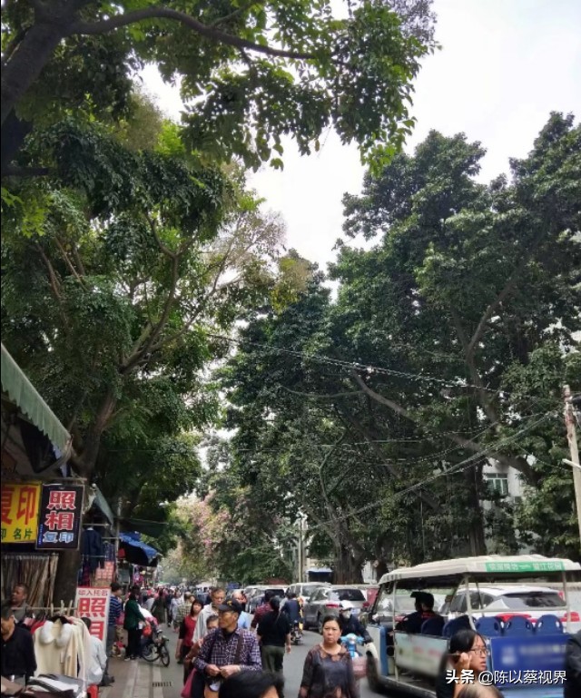 横滘村属于哪个区,广州市横滘村简介