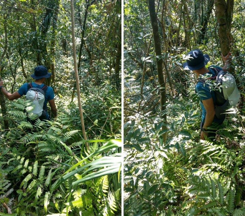 北面户外徒步鞋评测,北面登山鞋thenorthface