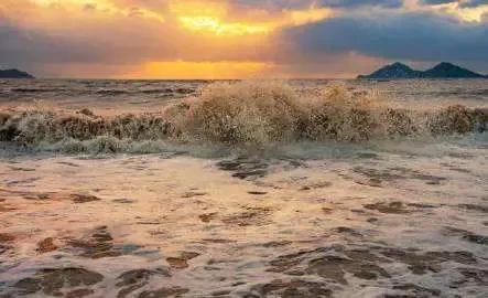 把酒祝东风且共从容在什么场合说,把酒祝东风且共从容啥意思