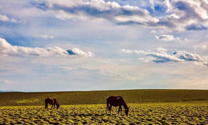 甘南最隐藏的地方,甘南隐藏的美景