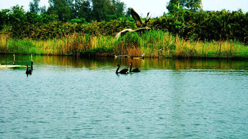 去一次大西北等于远行十次,去宁夏旅游的最佳地方