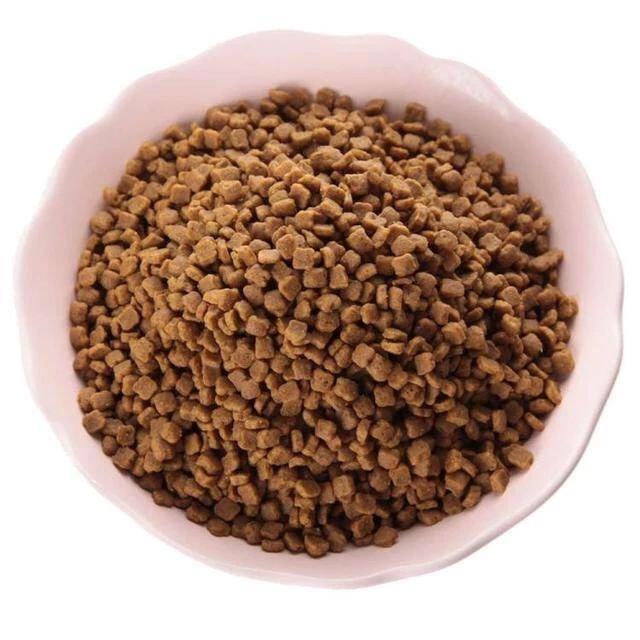 猫咪误食塑料要做手术存活率高吗,猫咪会误食哪些异物有危险