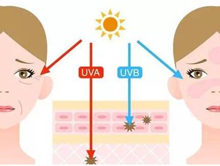 好用的「安耐晒」全攻略！6年资深粉安利！
