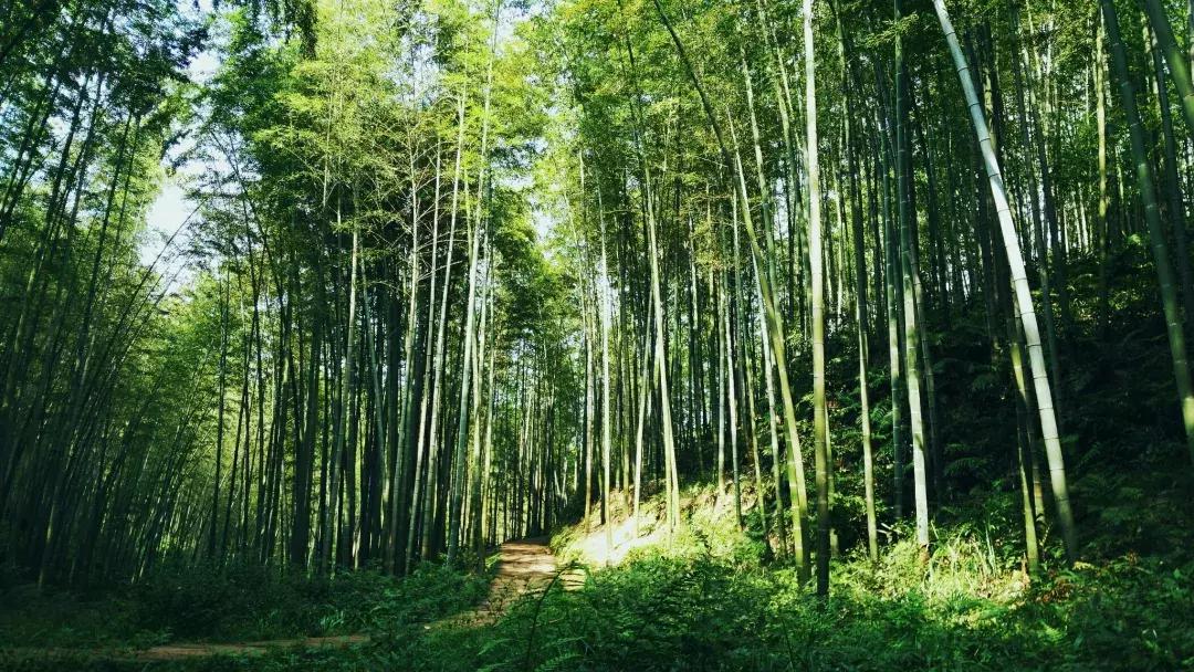 成都耍水露营避暑的景点推荐,热得冒烟的天气