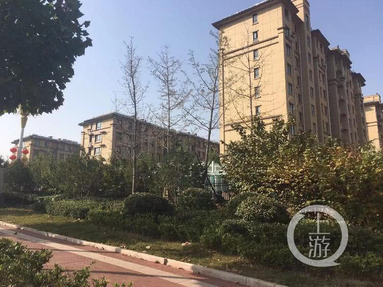 山东枣庄67高龄产妇丈夫,山东67岁高龄产妇丈夫