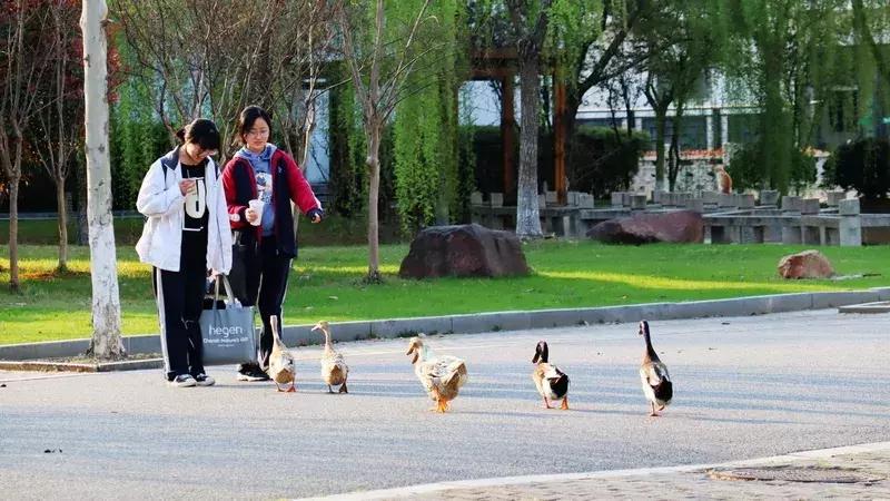 谢谢你,吴江哪个中学好