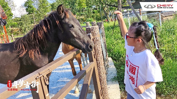奇瑞车友会自驾游,奇瑞车友会第二季