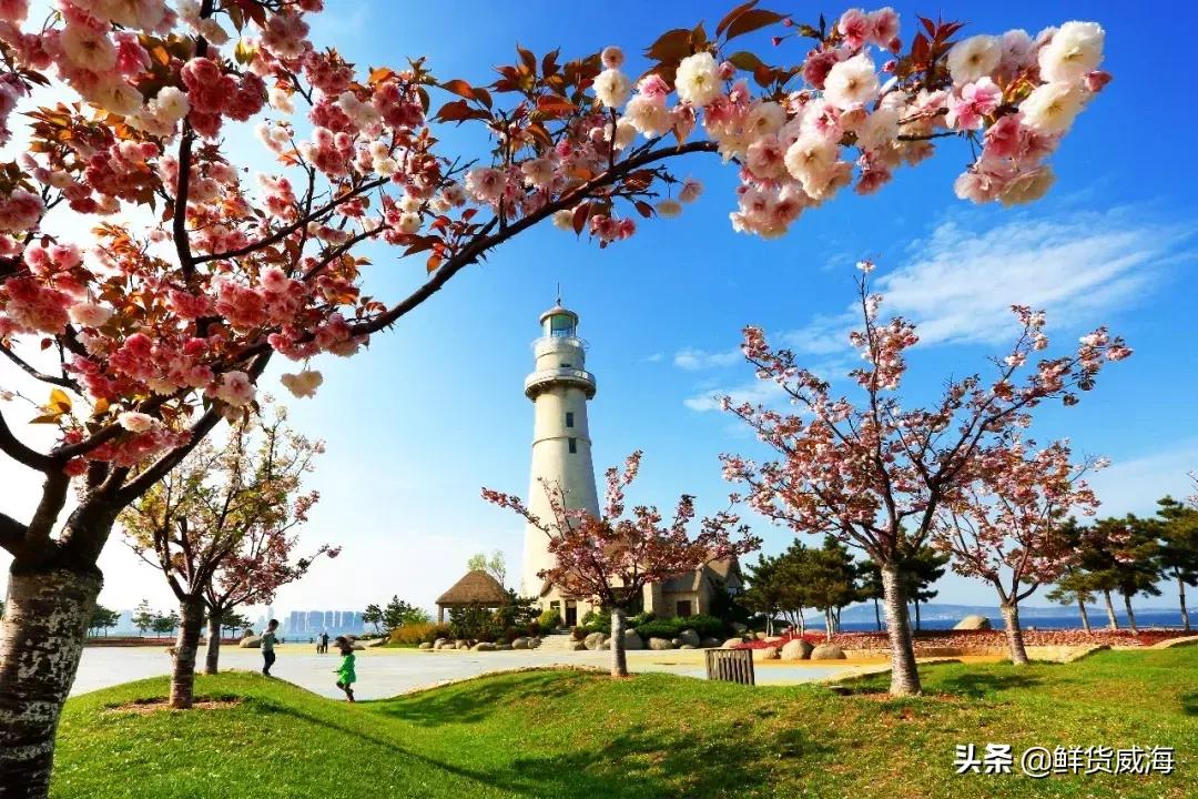 威海60岁免费景点,威海十大网红免费景点