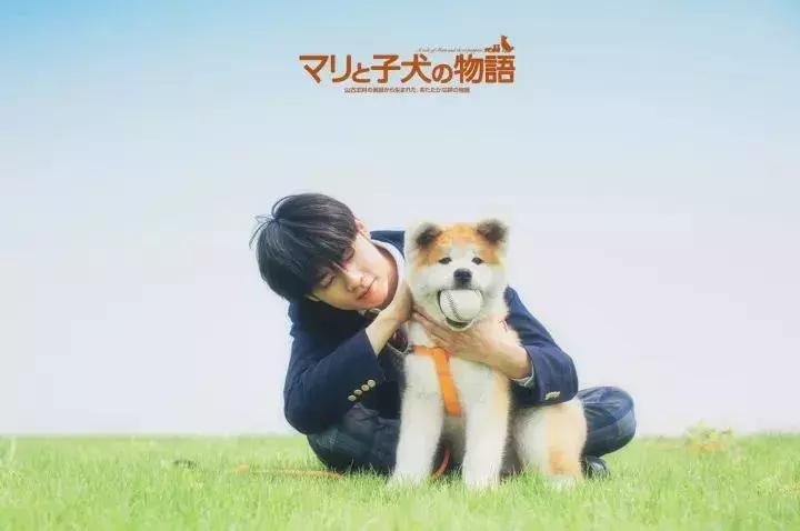 南通有条狗居然想在苏通大桥附近横渡长江，游往江南！