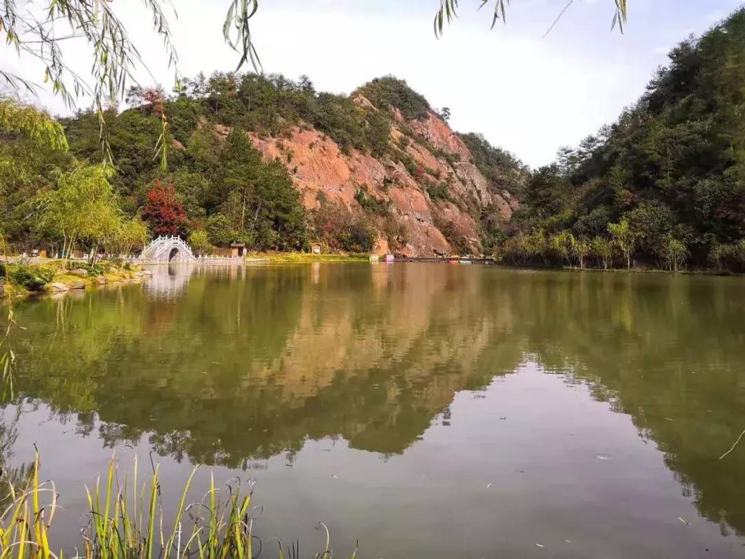 金家湾生态露营公园在哪里,金家湾风景区露营