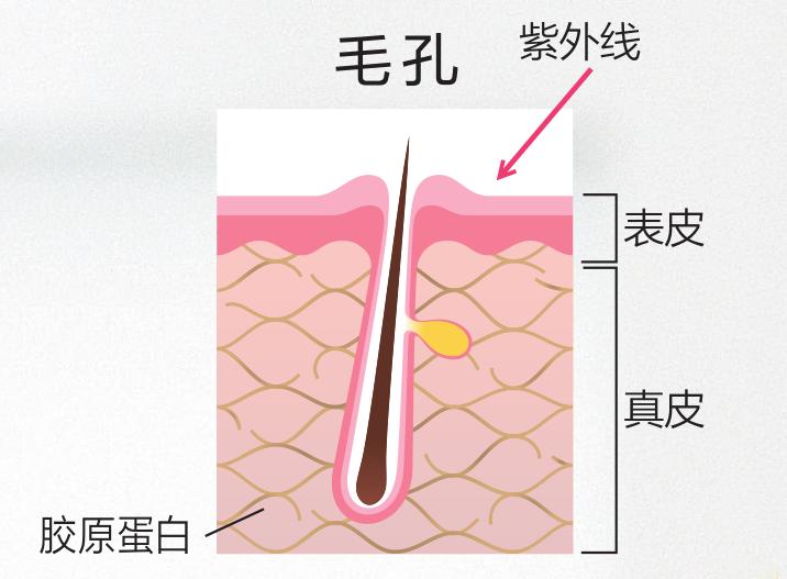秦海璐紧致皮肤,秦海璐美白皮肤