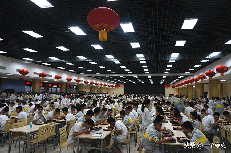 智能化餐厨渗滤液处理设备,餐厨废弃物油水自动分离设备