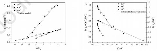 使用电纺DTPA改性的纳米纤维可有效去除废水中的Cu2+、Pb2+和Ni2