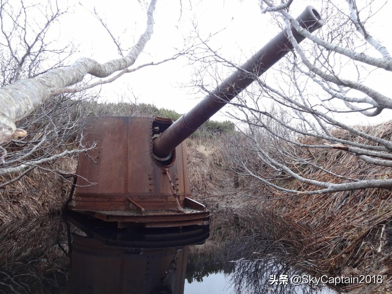 借刀杀人~1945年的草裙舞计划
