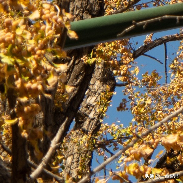 松下16-35f4,松下16-35f4和20-60镜头对比