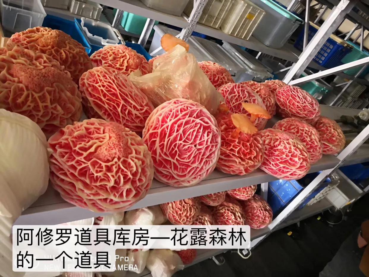 完整的公关策划活动方案,学校公关宣传活动策划方案